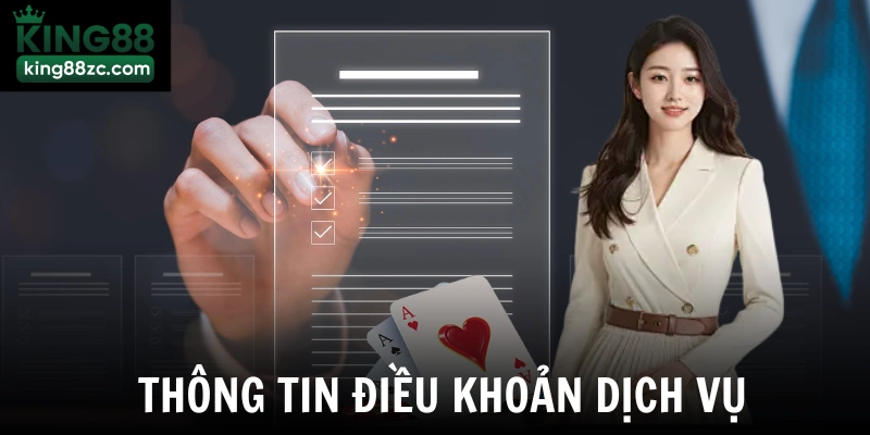 Thông tin điều khoản dịch vụ 