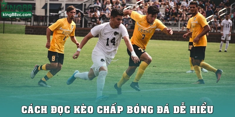 Cách đọc kèo chấp bóng đá dễ hiểu