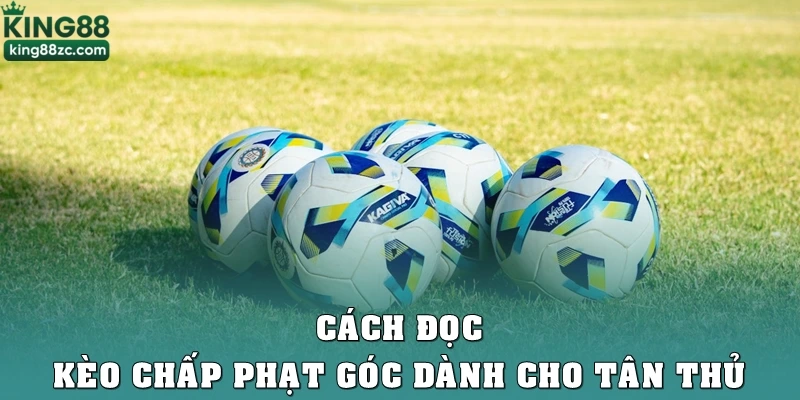 Cách đọc kèo chấp phạt góc dành cho tân thủ