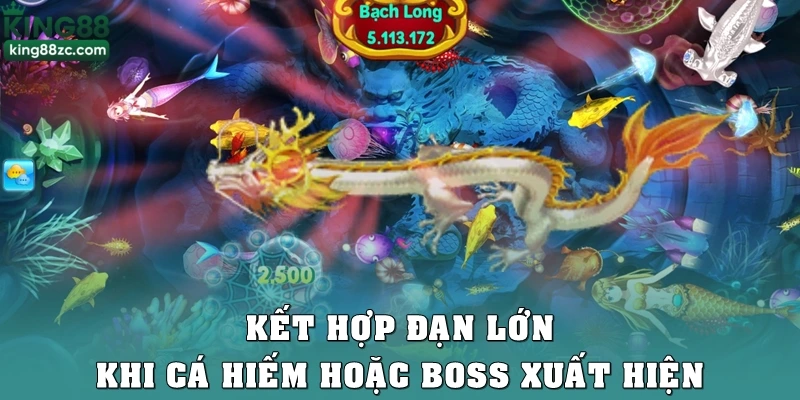 Kết hợp đạn lớn khi cá hiếm hoặc boss xuất hiện