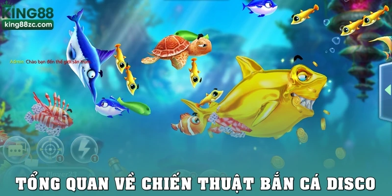 Tổng quan về chiến thuật bắn cá Disco