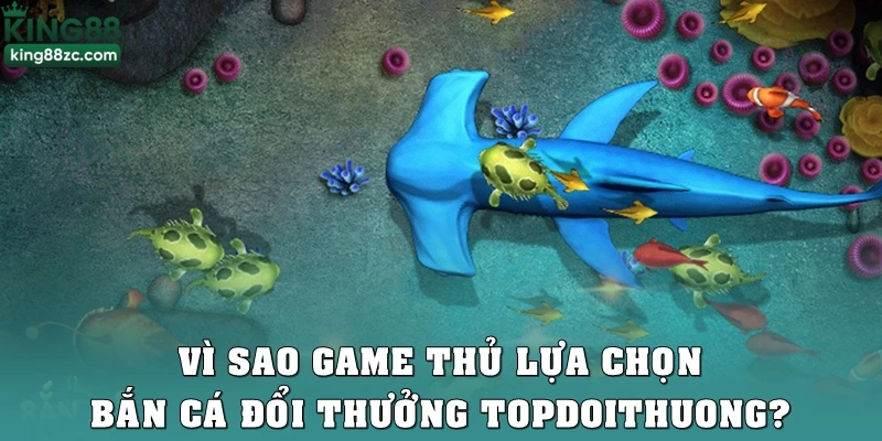 Vì sao game thủ lựa chọn bắn cá đổi thưởng topdoithuong?